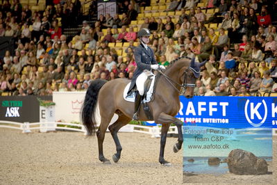 Vitamin Well Five Star Dressage / Vodskov Bolighus CDI5 Grand Prix Freestyle
Keywords: trude hestengen;christianslund furstino