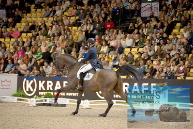 Vitamin Well Five Star Dressage / Vodskov Bolighus CDI5 Grand Prix Freestyle
Keywords: trude hestengen;christianslund furstino