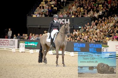 Vitamin Well Five Star Dressage / Vodskov Bolighus CDI5 Grand Prix Freestyle
Keywords: anna kasparcack;addict de massa