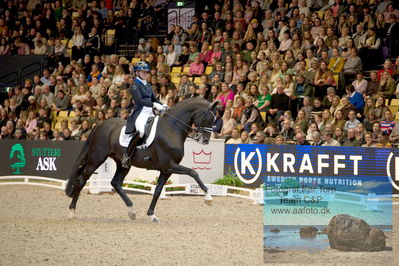 Vitamin Well Five Star Dressage / Vodskov Bolighus CDI5 Grand Prix Freestyle
Keywords: nanna skodborg merrald;bh st schufro