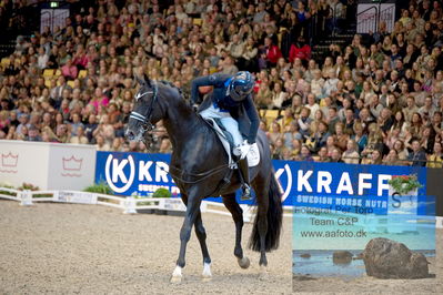 Vitamin Well Five Star Dressage / Vodskov Bolighus CDI5 Grand Prix Freestyle
Keywords: nanna skodborg merrald;bh st schufro