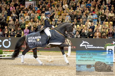 Vitamin Well Five Star Dressage / Vodskov Bolighus CDI5 Grand Prix Freestyle
Keywords: nanna skodborg merrald;bh st schufro;lap of honour