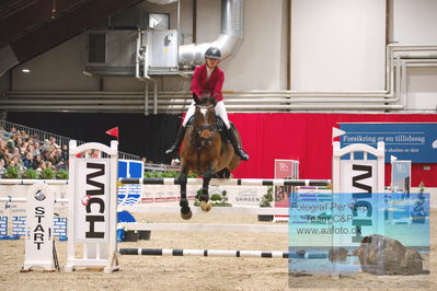 Easy-AgriCare CSIYH1 Youngster Finale 130
Keywords: anja t hansen;skovhoejs snippifly