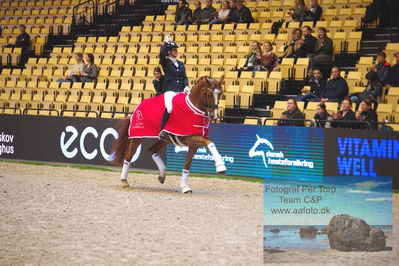 Præmieoverrækkelse i Unghestechampionatet 2023
Keywords: quinn g;betina jaeger jensen;lap of honour