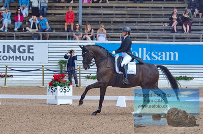 2023 CDI1 PSG - Prix St-Georges
Keywords: pt;linnea holmgren;sir dennis