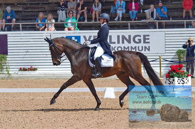 2023 CDI1 PSG - Prix St-Georges
Keywords: pt;rebecca cohen;jameson