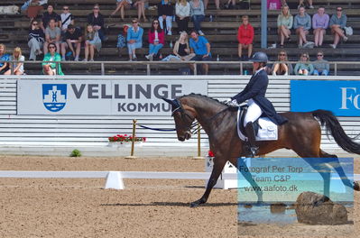 2023 CDI1 PSG - Prix St-Georges
Keywords: pt;rebecca cohen;jameson