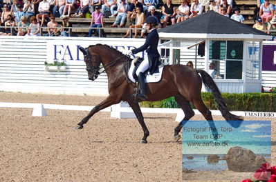 2023 CDI3 GP - Grand Prix (GP) by Hannell & Brink
Keywords: pt;anna tallberg;grevens zorro