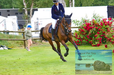 2023 Folksam Open 6-åriga hästar | Semifinal 1 - 1.30
Keywords: pt;mie mundberg;aura ravnes-have