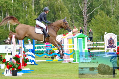 2023 Folksam Open 6-åriga hästar | Semifinal 1 - 1.30
Keywords: pt;sarak albus;rimrock van de v&d stable