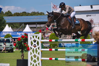 2023 1st Qualifier to the Longines Grand Prix presented by Trikem
Keywords: pt;decurio;linda heed