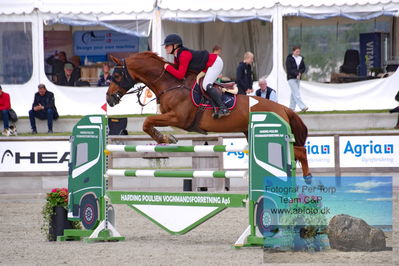 Flemming René Vinduespolering MA2 Springning Heste (140 cm) A
Keywords: dm;pt;cecilie kjaer;las vegas