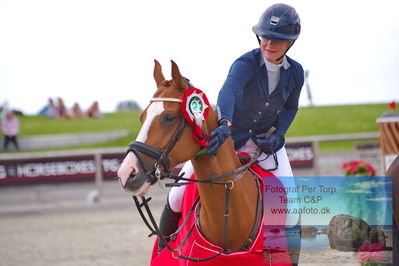 Flemming René Vinduespolering MA2 Springning Heste (140 cm) A
Keywords: dm;pt;kirstin skjoldhoej;heart of gold;lap of honour