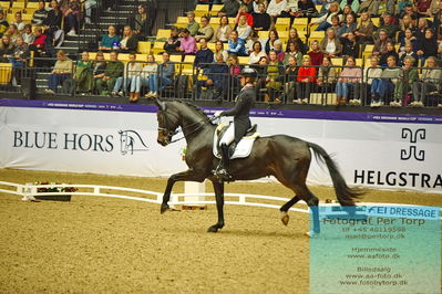 FEI Dressage World Cup Grand Prix
Keywords: felicitas hendricks;drombusch old