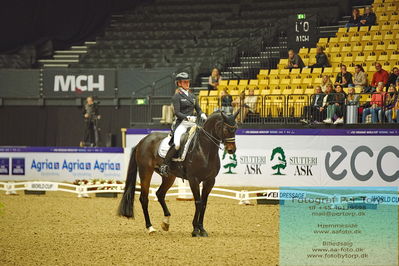 FEI Dressage World Cup Grand Prix
Keywords: felicitas hendricks;drombusch old