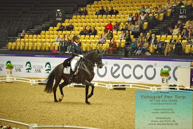 FEI Dressage World Cup Grand Prix
Keywords: denise nekerman;boston sth