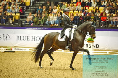 FEI Dressage World Cup Grand Prix
Keywords: raphael netz;great escape camelot