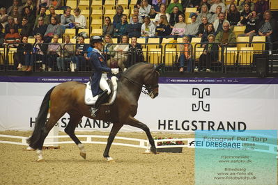 FEI Dressage World Cup Grand Prix Freestyle
Keywords: caroline darcourt;lord django