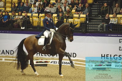 FEI Dressage World Cup Grand Prix Freestyle
Keywords: caroline darcourt;lord django