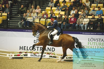 FEI Dressage World Cup Grand Prix Freestyle
Keywords: tinene vilhelmson silfven;devanto