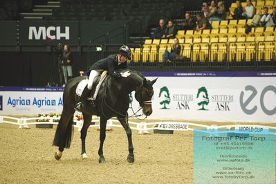 FEI Dressage World Cup Grand Prix Freestyle
Keywords: felicitas hendricks;drombusch old