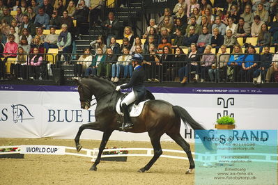 FEI Dressage World Cup Grand Prix Freestyle
Keywords: nanna skjold merrald;bh  zack