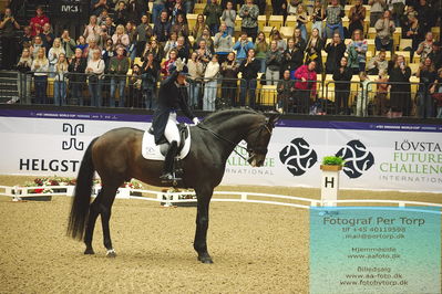 FEI Dressage World Cup Grand Prix Freestyle
Keywords: nanna skjold merrald;bh  zack