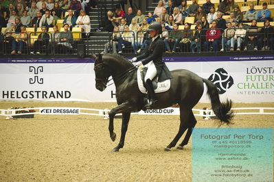 FEI Dressage World Cup Grand Prix Freestyle
Keywords: anna kasparcack;addict de massa