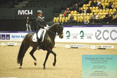 FEI Dressage World Cup Grand Prix Freestyle
Keywords: raphael netz;great escape camelot