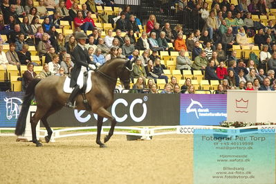 09 ECCO CDI5Grand Prix Special (GPS) - ECCO FIVE STAR DRESSAGE
Keywords: anna tallberg;grevens zorro