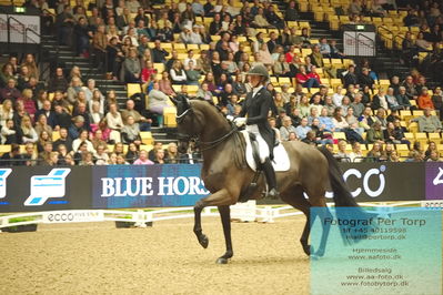 09 ECCO CDI5Grand Prix Special (GPS) - ECCO FIVE STAR DRESSAGE
Keywords: anna tallberg;grevens zorro