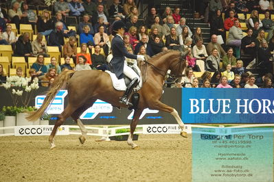 09 ECCO CDI5Grand Prix Special (GPS) - ECCO FIVE STAR DRESSAGE
Keywords: antonia von dungern;dsp queen rubin