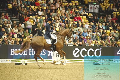 09 ECCO CDI5Grand Prix Special (GPS) - ECCO FIVE STAR DRESSAGE
Keywords: antonia von dungern;dsp queen rubin