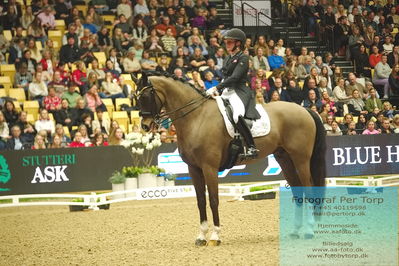 09 ECCO CDI5Grand Prix Special (GPS) - ECCO FIVE STAR DRESSAGE
Keywords: nadja aaboe sloth;favour gersdorf