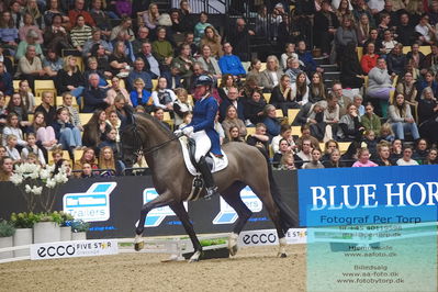 09 ECCO CDI5Grand Prix Special (GPS) - ECCO FIVE STAR DRESSAGE
Keywords: karen nijvelt;nijvelt