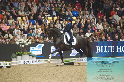 09 ECCO CDI5Grand Prix Special (GPS) - ECCO FIVE STAR DRESSAGE
Keywords: nanna skodborg merrald;blue hors don olymbrio