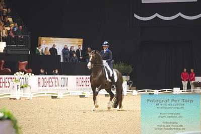 09 ECCO CDI5Grand Prix Special (GPS) - ECCO FIVE STAR DRESSAGE
Keywords: nanna skodborg merrald;blue hors don olymbrio