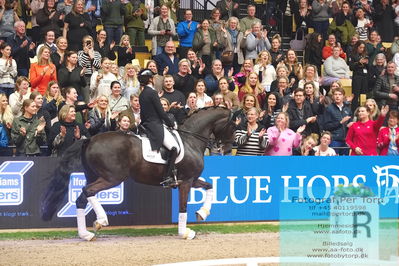 09 ECCO CDI5Grand Prix Special (GPS) - ECCO FIVE STAR DRESSAGE
Keywords: cathrine laudrup-dufour;mount st john freestyle