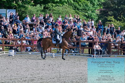 valllensbæk ride klub
senior finale
Keywords: dm;pt;anna zibrandtsen;quel filou old