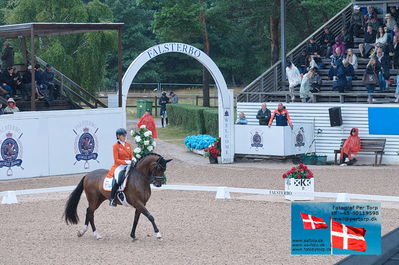 FEI Dressage Nations Cup Grand Prix
Keywords: falsterbo;gerdine maree;Holiday