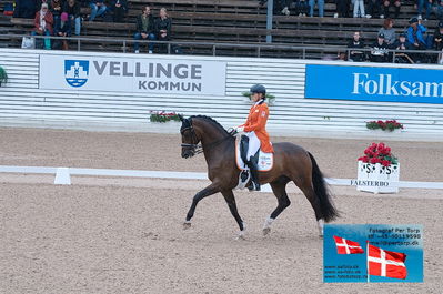 FEI Dressage Nations Cup Grand Prix
Keywords: falsterbo;gerdine maree;Holiday