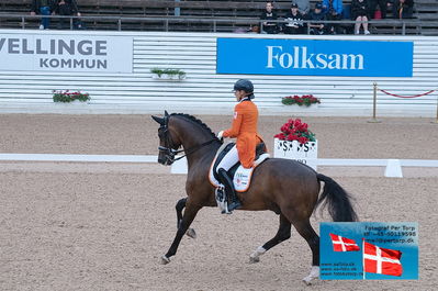 FEI Dressage Nations Cup Grand Prix
Keywords: falsterbo;gerdine maree;Holiday