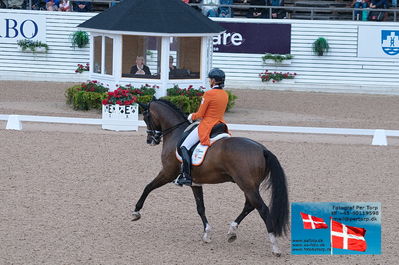 FEI Dressage Nations Cup Grand Prix
Keywords: falsterbo;gerdine maree;Holiday