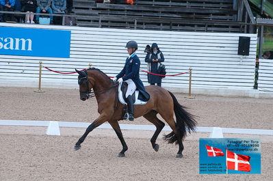 FEI Dressage Nations Cup Grand Prix
Keywords: falsterbo;mads hendeliowitz;milwauke