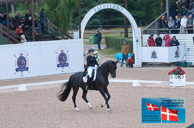 FEI Dressage Nations Cup Grand Prix
Keywords: falsterbo;evelin eger;tabledance3