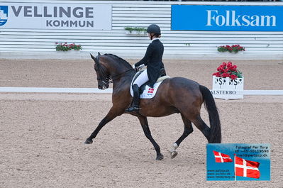 FEI Dressage Nations Cup Grand Prix
Keywords: falsterbo;anna kasprzak;rock star 13