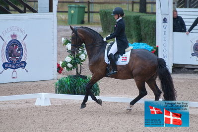 FEI Dressage Nations Cup Grand Prix
Keywords: falsterbo;anna kasprzak;rock star 13