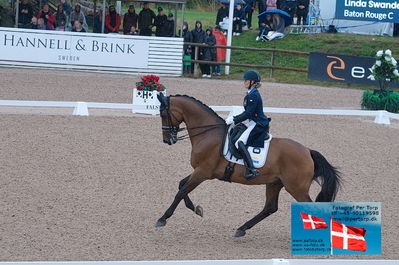 FEI Dressage Nations Cup Grand Prix
Keywords: falsterbo;linda swande;baston rouge c