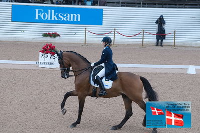 FEI Dressage Nations Cup Grand Prix
Keywords: falsterbo;linda swande;baston rouge c