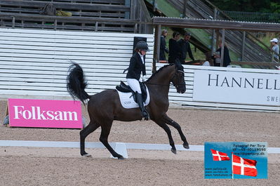 6års finale dressur
Keywords: falsterbo;caroline hansen;figaro